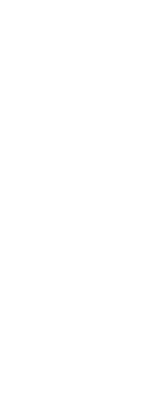 particles
